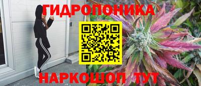 герыч Будённовск