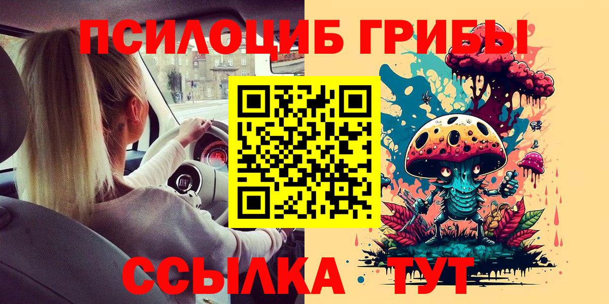 Псилоцибиновые грибы прущие грибы  цены наркотик  Псилоцибиновые грибы прущие грибы  Новосибирск  Вход с VPN 
